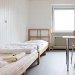 1, 2, Sleep Messe *